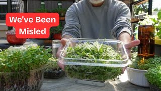 The Misleading Claims About Microgreens
