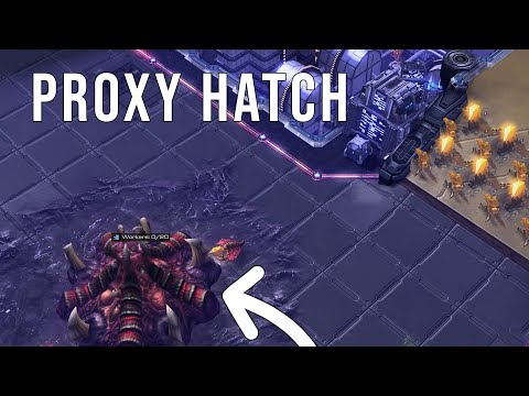 The CLOWNIEST Series for $10,000 | Dark (Z) vs Creator (P)