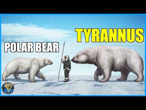 The Other (Bigger) Polar Bear