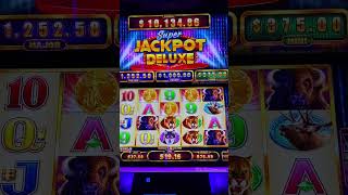 MAX $37 BET 💥 Super Jackpot Deluxe BONUS on Buffalo
