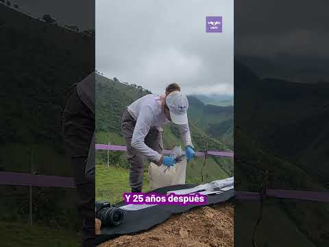 Dos familias esperaron 25 años por noticias sobre sus seres queridos desaparecidos en Antioquia