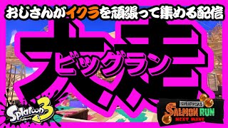 【ビッグラン】おじさんがイクラを集める配信【スプラトゥーン3】