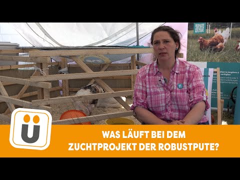 ROBUST Puten Züchtung  - Was läuft beim Alternativprojekt von Christine Bremer ?