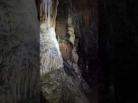Caverna Angélica | Parte 9 | Parque Estadual de Terra Ronca – GO #cave #adventure #travel #nature