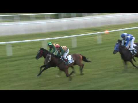 2017.06.02. 2. futam - JÚNIUSI GÁTVERSENY