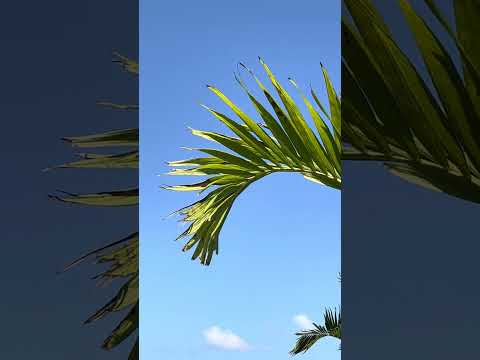 En el muelle #muelle #puertobarrios #izabal