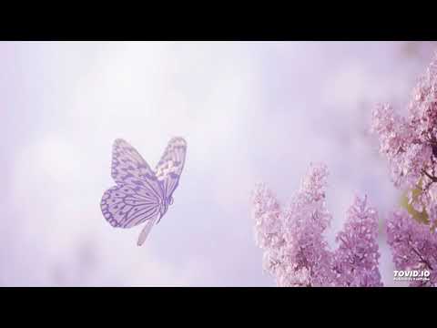 Various Artists - Relaxing Music - CD 2 - The Moon´s Gift - 08 - Perfume de outono