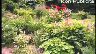 dI piÙ- Amedeo Minghi