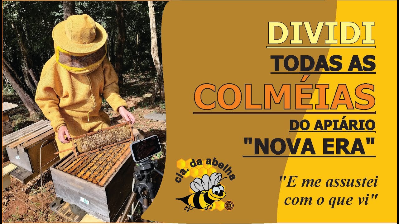 DIVIDI TODAS AS COLMÉIAS DO APIÁRIO NOVA ERA E ME ASSUSTEI COM O QUE VI