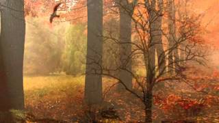 yusuf taşkın ağla sevdam