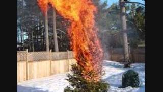 Deck the Halls by Penance