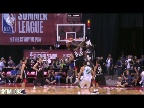 Jaylen Brown FULL 2017 NBA Summer League Highlights