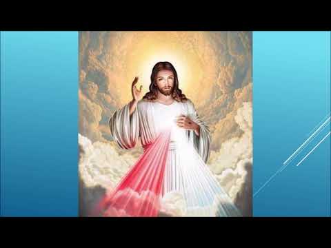 QUE SANTIDADE DE VIDA