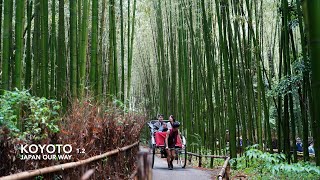 Bamboo Forrest | Hozugawa River Cruises | Sagano Scenic Railway | Japan Our Way