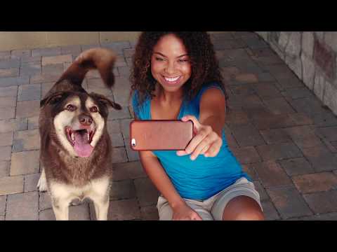PetSafe® SMART DOG® Trainer Video