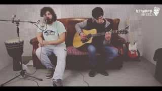 Nirvana - Polly (Strange Breed acoustic cover)