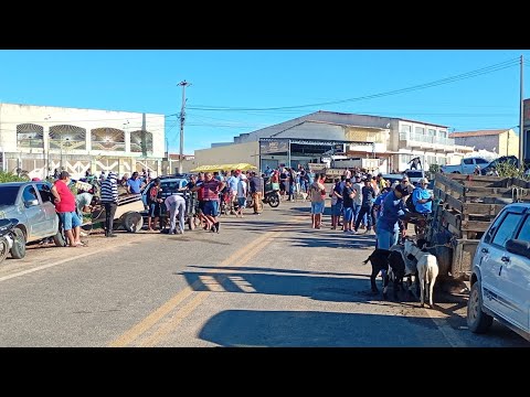 Feira de animais de campos Sales ceará 