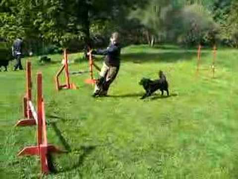 Nicoletta & Nero ( 17.5. )