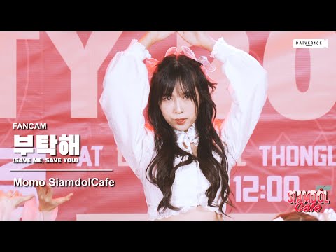 221225 [Fancam] MOMO SiamdolCafe - SAVE ME,SAVE YOU (Cover) | WJSN @ Siamdol Christmas Party 2022