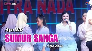 Download lagu SUMUR SANGA  ~ AYU WD // CITRA NADA LIVE DK.PULOLAMPES - DESA PULOGADING // BULAKAMBA - BREBES mp3