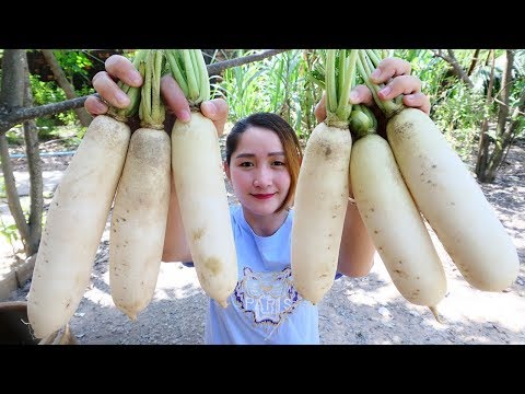 download lagu mp3 mp4 Sweet Radish Recipe, download lagu Sweet Radish Recipe gratis, unduh video klip Sweet Radish Recipe