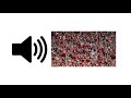 Crowd Stadium Sounds (1 Hour) - Sound Effect | ProSounds