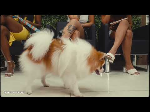 3. Druhh & Drehh feat Real Bege - Refém (Visualizer)