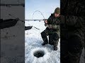 Giant Pike through a tiny hole! 😳🐊#NorthernPike #IceFishing #PikeFishing #Hardwater #usashorts