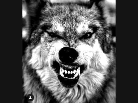 Joseph el proverbio ft Joulin el pilin - FOR SALE