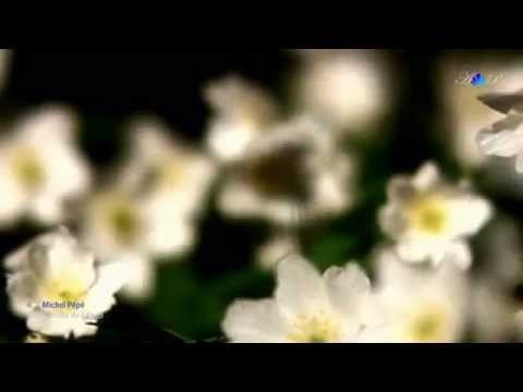 Michel Pépé-  La Caresse de l'Ange (relaxing music)