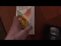 Baby Einstein Language Nursery 2002 VHS