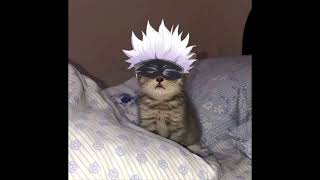 FDB x PAIN - Young Dro x Pink Pantheress (Remix)