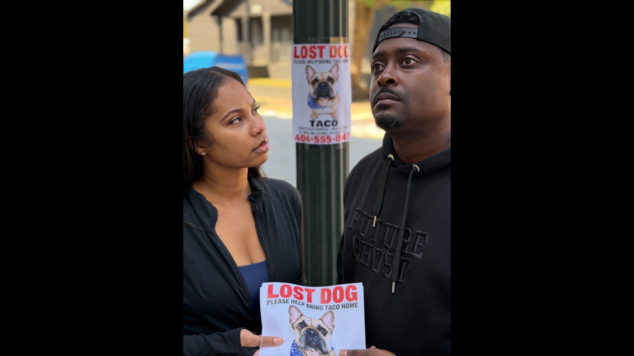 When Dalen suspects his OWN BROTHER of stealing his dog!