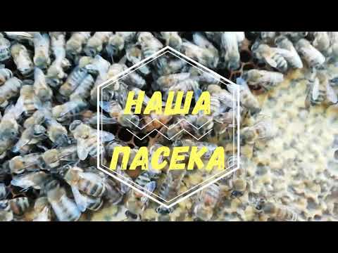 Нда-а-а! Прошлый год, дюже серьезный!