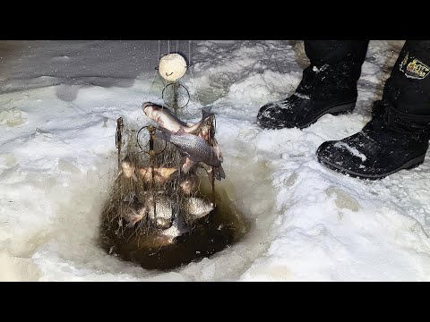 Фото ХАПУГА ХЛОПОК ТРЕЩИТ ОТ РЫБЫ! МЕШОК КАРАСЯ ЗА РАЗ! Я ТАКОЙ РЫБАЛКИ ЕЩЕ НЕ ВИДЕЛ! Рыбалка на хапугу