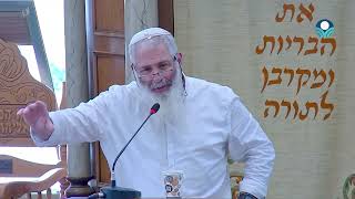 תורת חסד: היחס לנידחים ולדחויים - הכנה לקראת ימים נוראים | הרב רן בן משה (ישיבת מכון מאיר) - התמונה מוצגת ישירות מתוך אתר האינטרנט יוטיוב. זכויות היוצרים בתמונה שייכות ליוצרה. קישור קרדיט למקור התוכן נמצא בתוך דף הסרטון תורת חסד: היחס לנידחים ולדחויים - הכנה לקראת ימים נוראים | הרב רן בן משה (ישיבת מכון מאיר) - התמונה מוצגת ישירות מתוך אתר האינטרנט יוטיוב. זכויות היוצרים בתמונה שייכות ליוצרה. קישור קרדיט למקור התוכן נמצא בתוך דף הסרטון