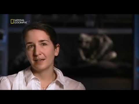 Antichi mostri del mare documentario