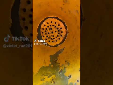 Ameliasocurvy Shower