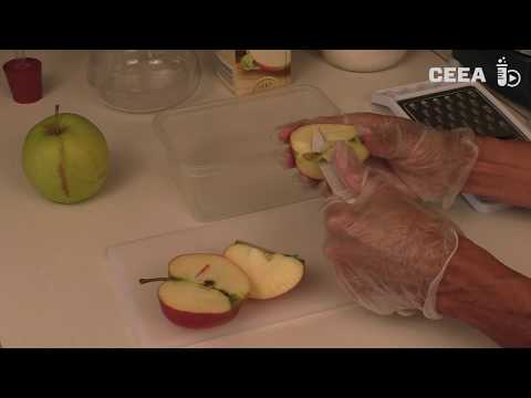 Wine making   the fermentation of glucose