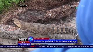 Download lagu Barisan Buaya Teluk Palu Jadi Wisata Warga - NET 24 mp3 Download lagu Barisan Buaya Teluk Palu Jadi Wisata Warga - NET 24 mp3