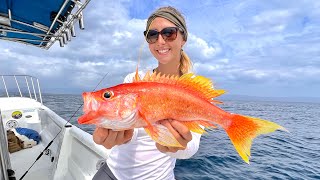 Slow pitch jigging RARE fish in 400 foot of water off the Coast of Colombia!!