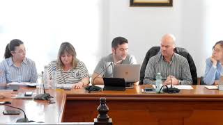 Pleno ordinario abril 2025
