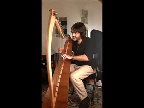 Mag Siola (The level plain) Irish harp.