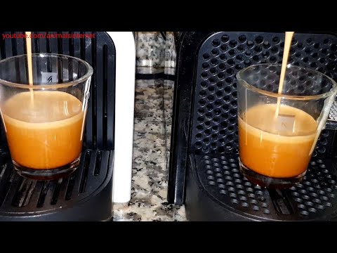 Nespresso Delonghi Inissia vs. Nespresso Krups Inissia: duel after reset