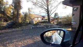 (Adam the Woo, Justin Scarred, Daze with Jorden the Lion)  I like to watch the different content.