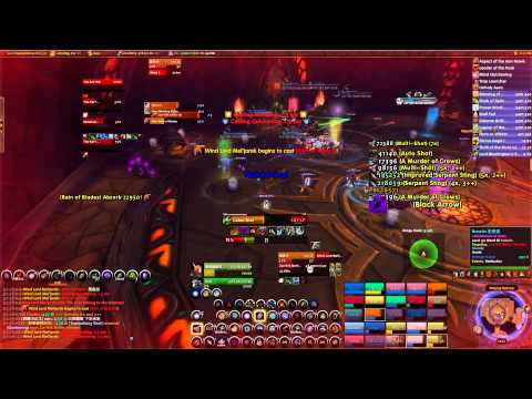 POA vs Wind Lord Mel'jarak 25 Heroic(Hunter POV)