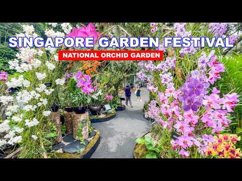 🌺 Singapore Garden Festival 2025 | Orchid Paradise for Flower Lovers in Singapore | SGF 2025🇸🇬😍👍