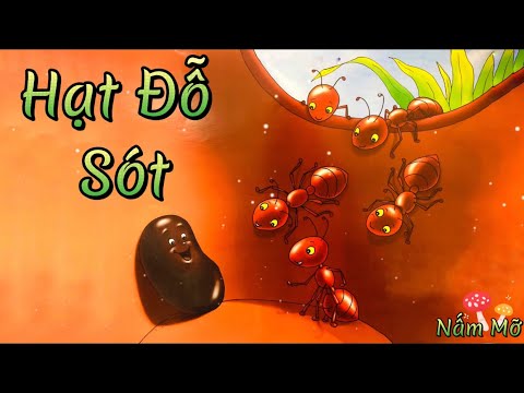 TRUYỆN HẠT ĐỖ SÓT