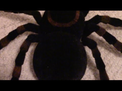 REMOTE CONTROL SPIDER in the Elevator Prank!