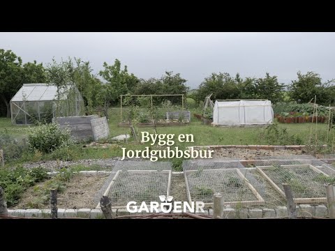 Bygg en jordgubbsbur - Trädgårdshacks med GardenR
